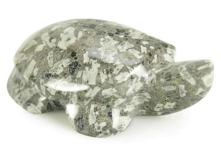 Polished Chinese Writing Rock Turtle - Utah #366757